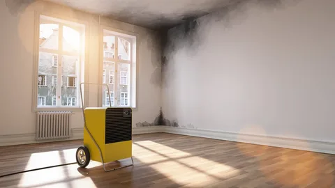 Smoke Damage Repair
